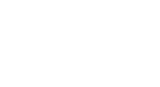 dvcustoms company logo