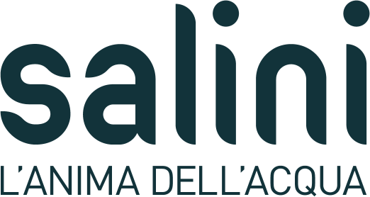 Salini company logo