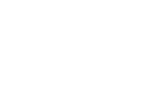 Salini company logo