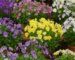 Unique Opportunity For Landscaping Businesses To Broaden Their Reach