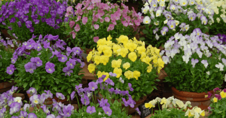 Blog post of matching category to this post's featured image