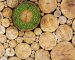 Atkins Appointed Sustainability Advisor On £26bn Old Oak Common Redevelopment