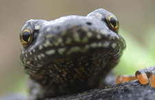 Blog post of matching category to this post's featured image
