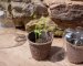 Biodegradability: how is it manufactured?