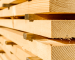 Understanding the booming popularity of timber construction