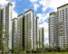 Global Housing Crisis: What’s The Answer?