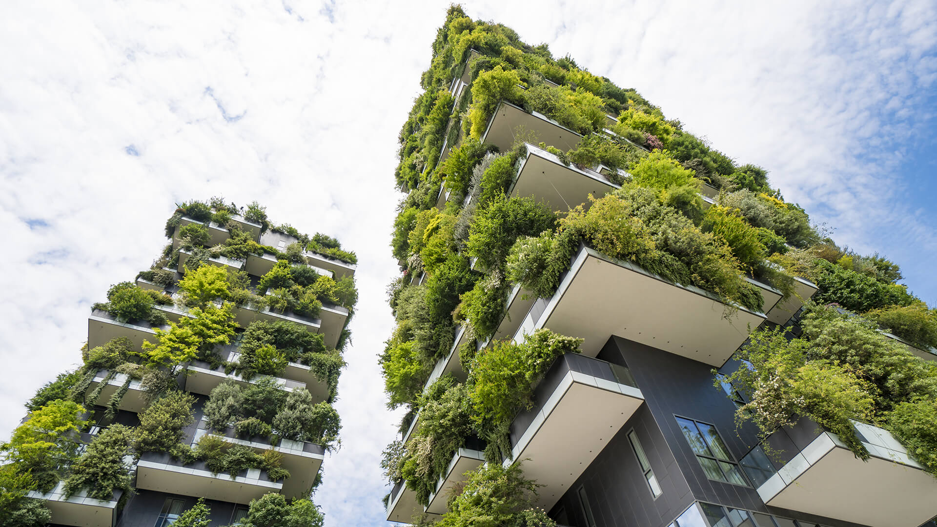 Sustainable building with vertical garden on balconies