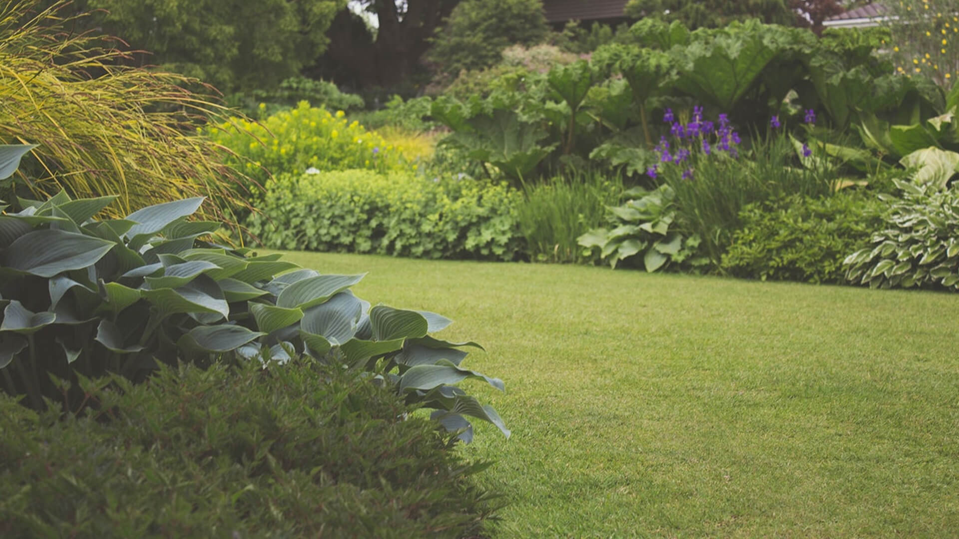Blog post of matching category to this post's featured image