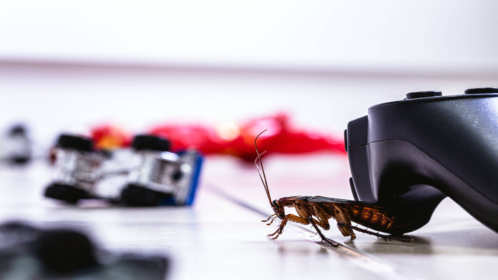 Simple Secrets And Tips To Conquer Your Pest Problems