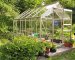 Why Greenhouses Have Become A Popular Trend