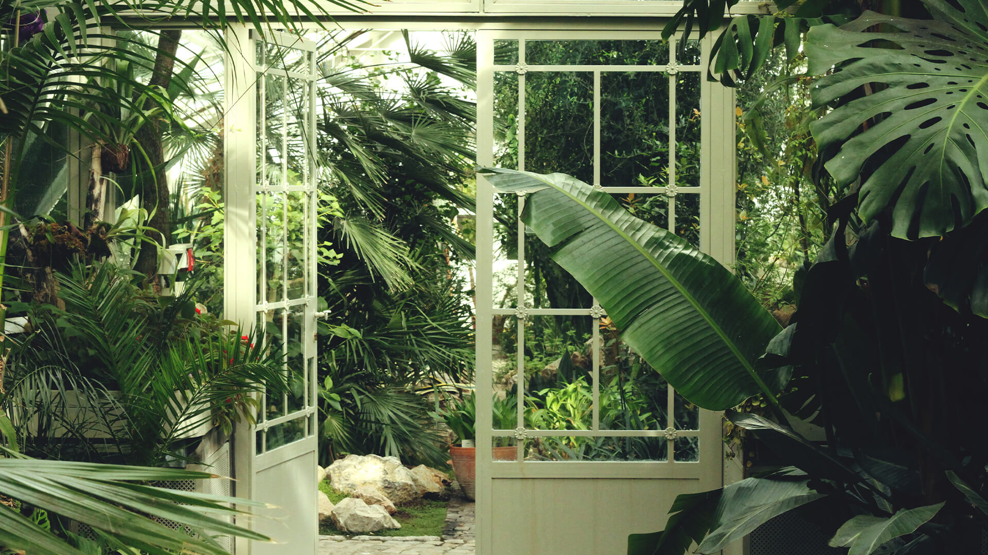 greenhouse