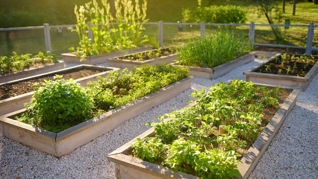 Sustainable garden image