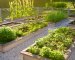 How to Grow a Sustainable Garden