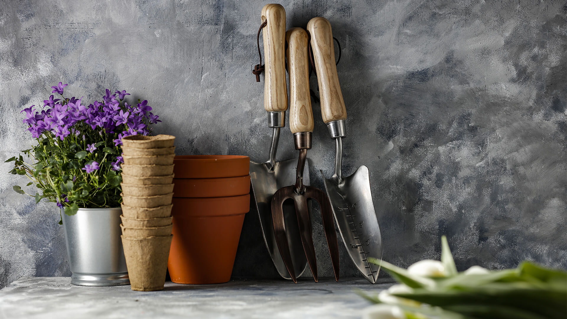 Blog post of matching category to this post's featured image