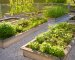 Tips for a more sustainable garden