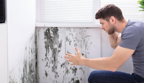 8 Tips To Prevent Mould In New Construction