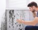 8 Tips To Prevent Mould In New Construction