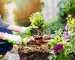6 Effective Tips From the Pros to Grow Healthy Flowers in Your Garden