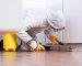 Professional Pest Control vs DIY For a New House
