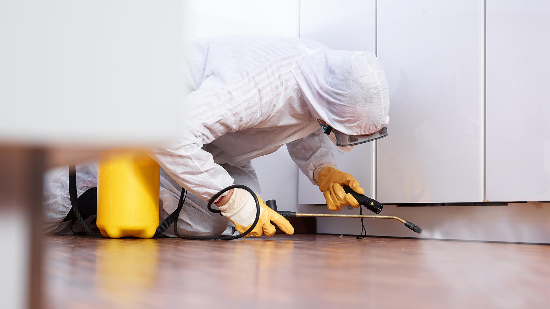 Professional Pest Control vs DIY For a New House - Build Magazine