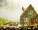 4 Easy Ways to Make Your Home Greener