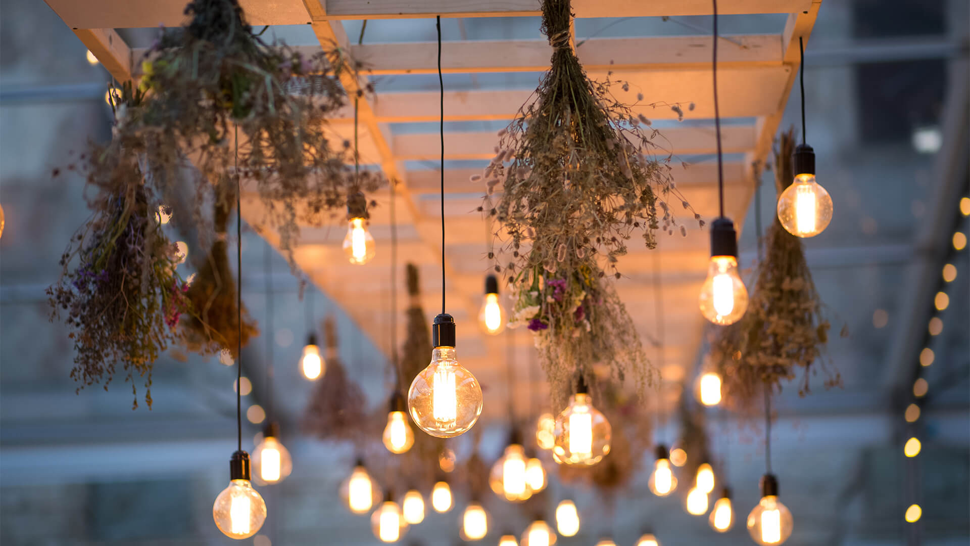 Dried flowers and hanging lights