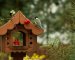 Ways to Incorporate and Protect a Bird Feeder in Your Backyard