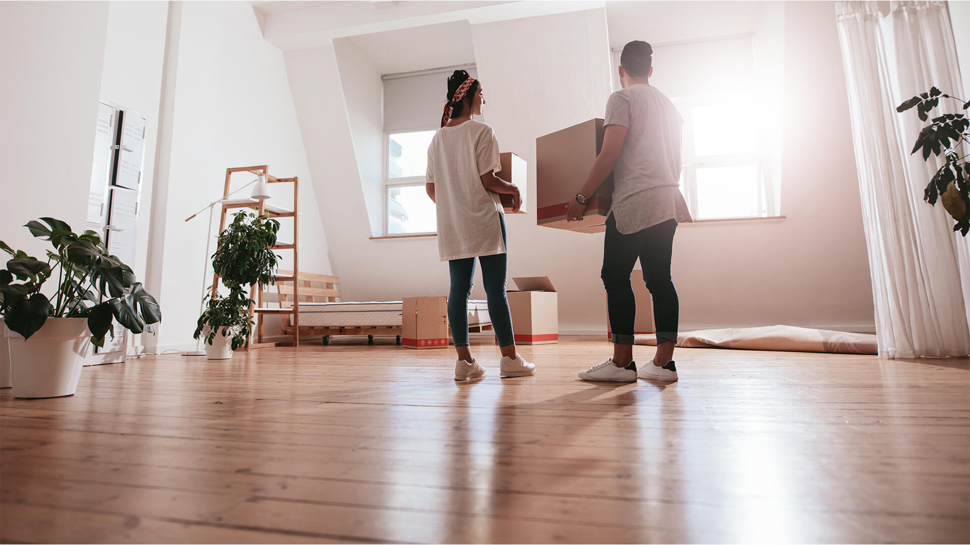 moving company Dublin