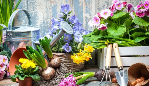 5 Things to Do to Get Your Garden Ready for Spring