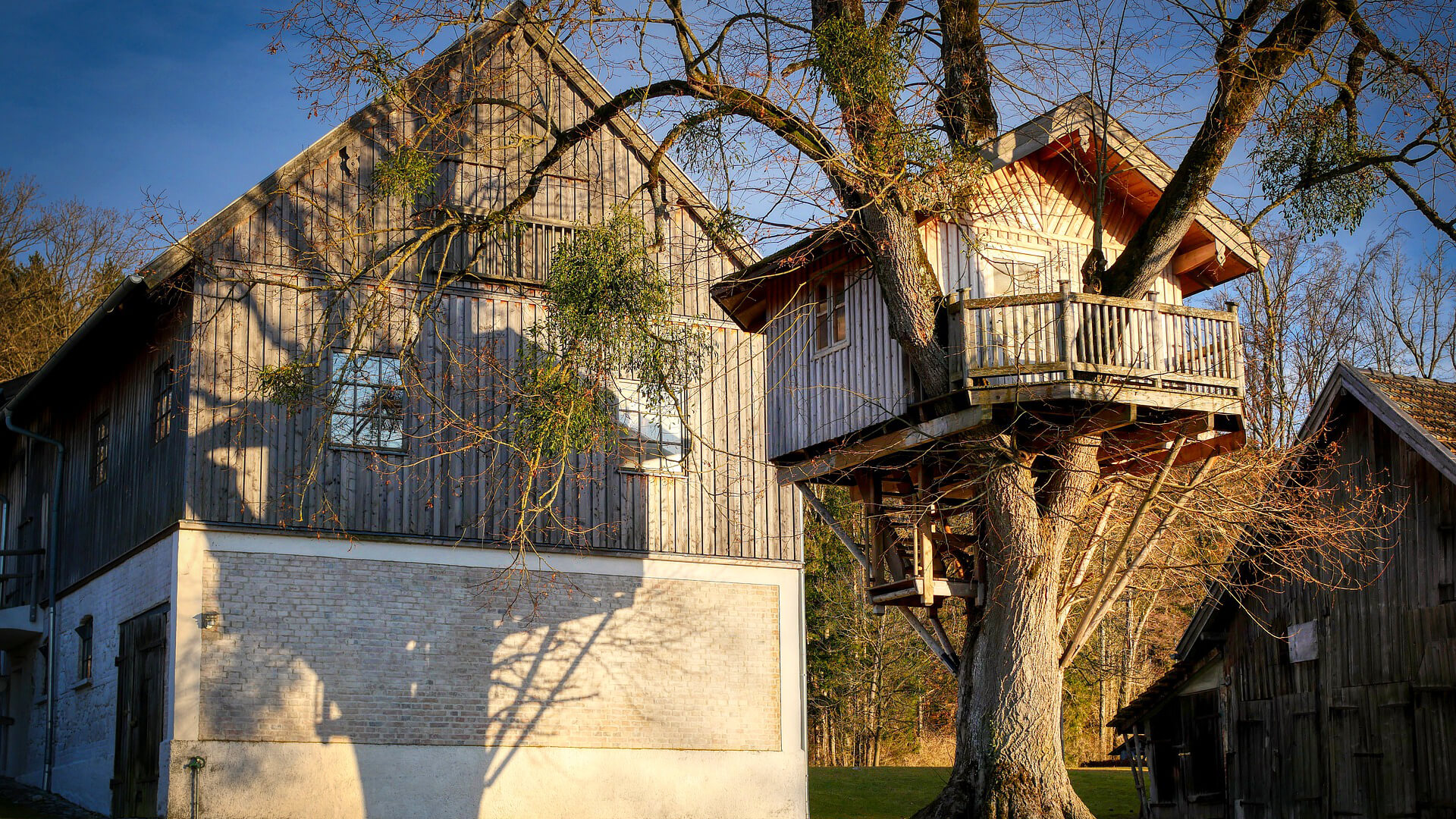 Treehouse