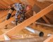 Ventilation Strategies for Energy-Efficient Homes