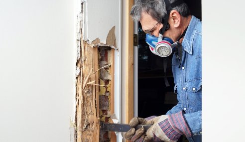 Termite Control For Wooden Homes: 5 Tips and Tricks