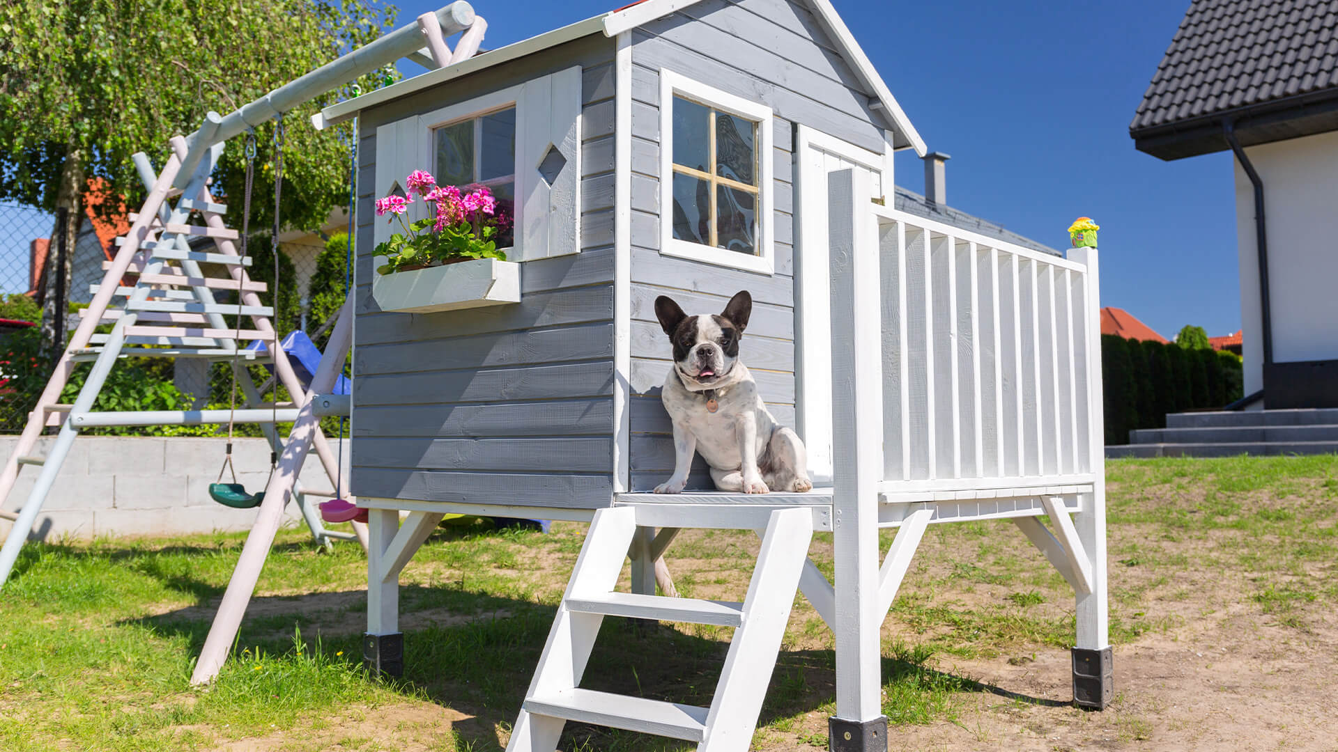 Upscale dog shelter with a frnech bulldog sitting outside it