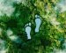 15 Ways To Redesign Your Life To Minimize Your Carbon Footprint
