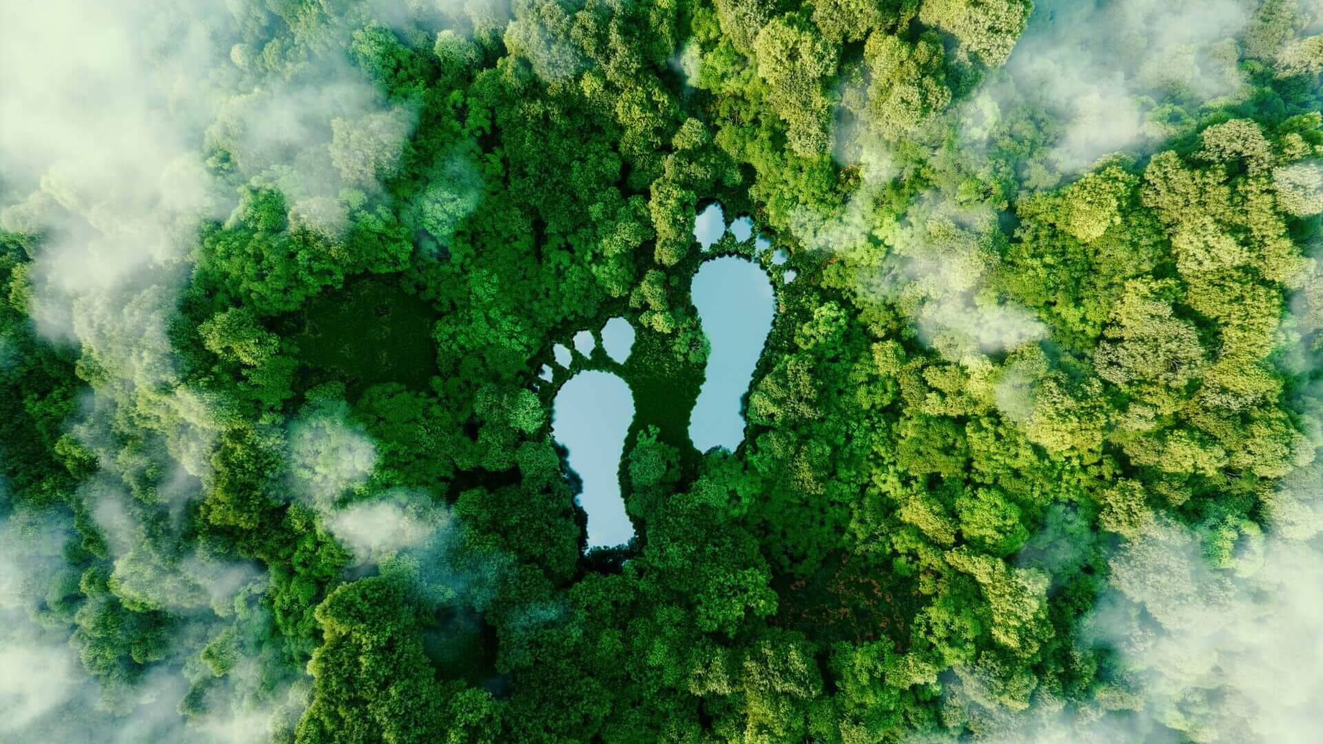 Footprint outlines on a birdseye view of tree tops