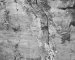 Should You Be Concerned About the Cracks in Your House?