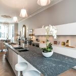 Black Stone Kitchen Island counter with a small plant and Large Kitchen Sink