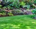 Why You Should Go for a Natural Garden