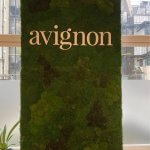 Avignon logo on a moss background