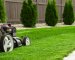 Heatwave Hacks: 6 Garden Musts for a Hot, Dry August