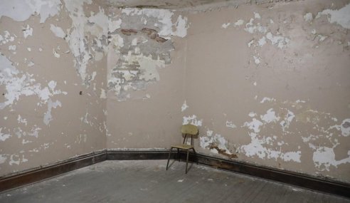 How To Remove Mould From Your Home? Follow These Useful Instructions