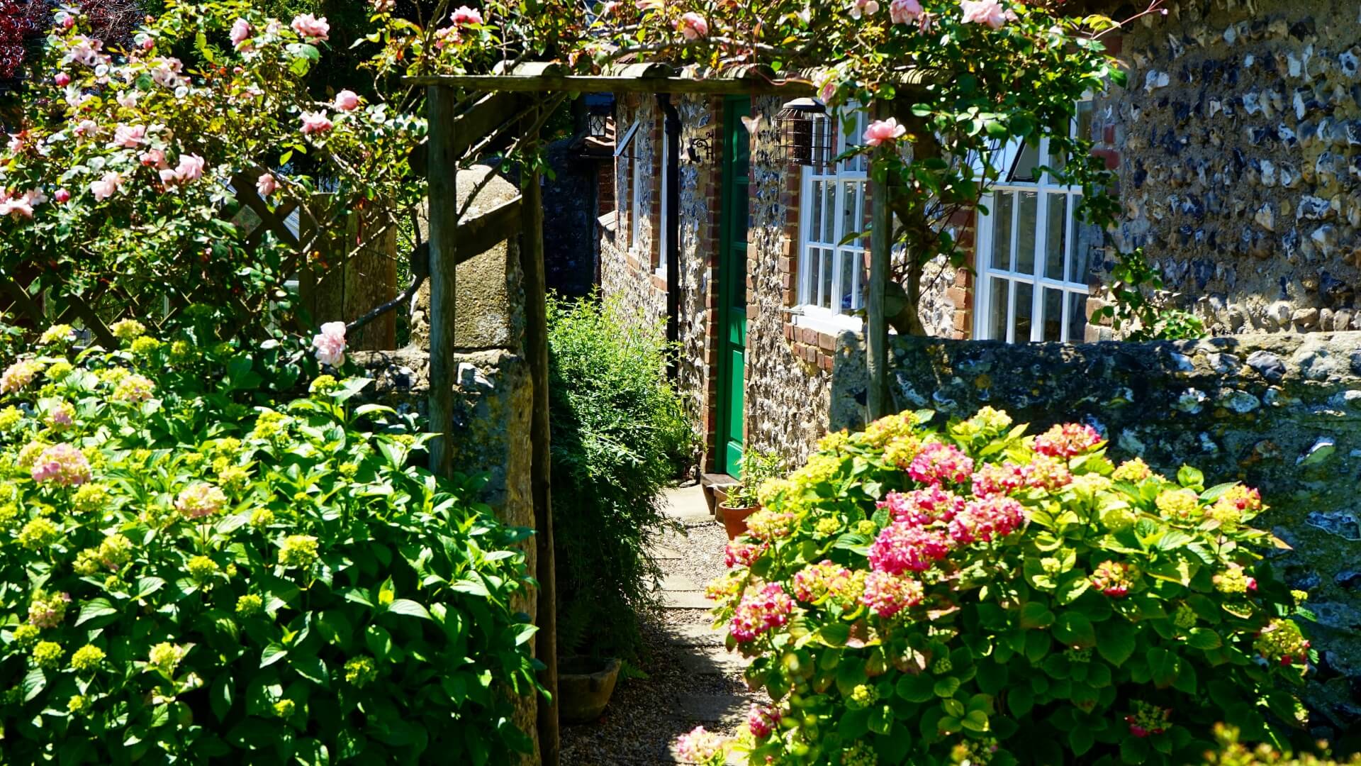 Garden with flowers