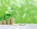 Sustainable Home Cleaning Ideas