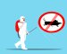 How to Adequately Deal With Different Kinds of Pests on Your Property