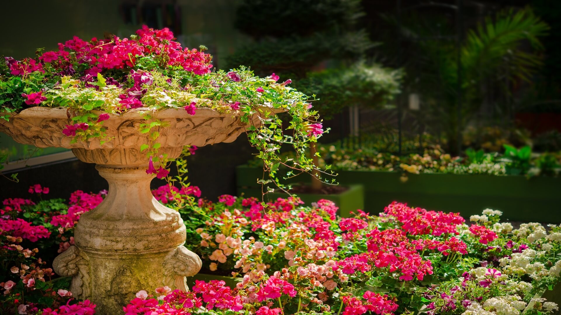 Blog post of matching category to this post's featured image