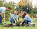 Garden Projects to Start in the New Year