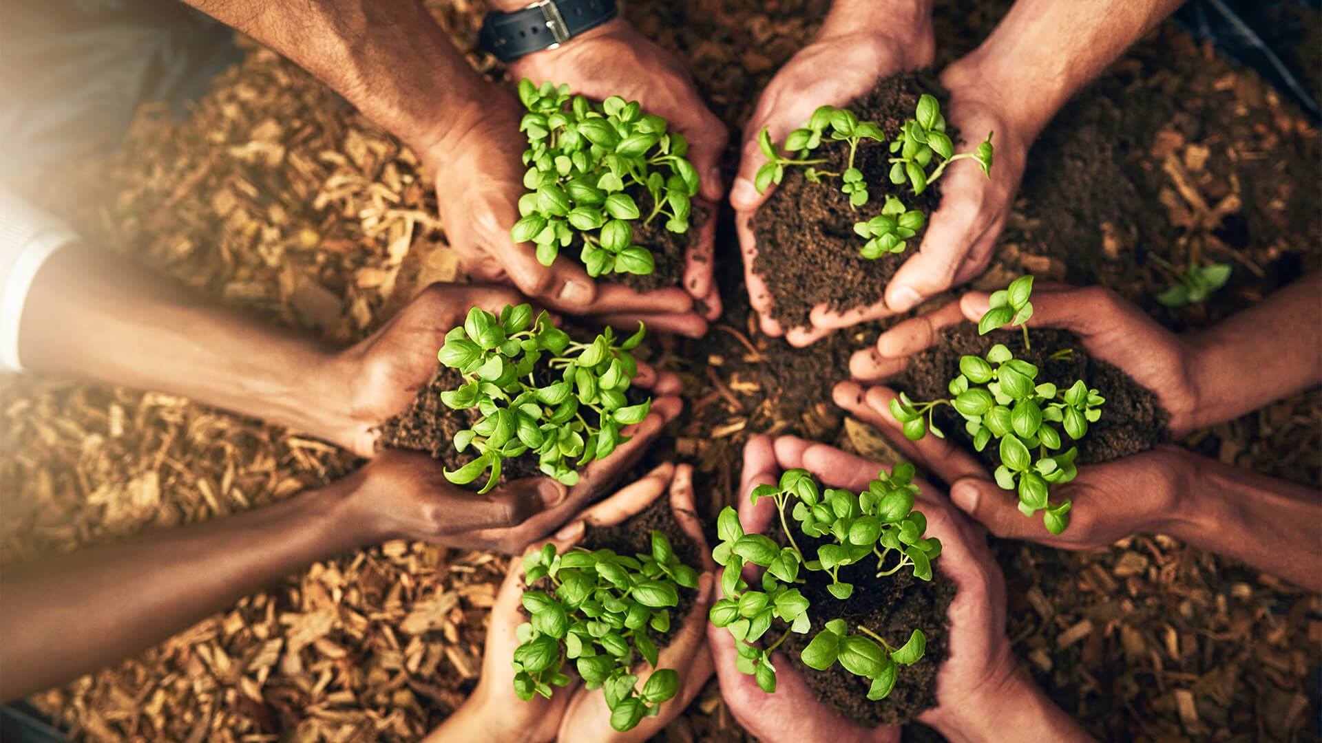 eco-friendly gardening