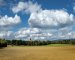 Useful Tips If You Are Planning To Buy A Land