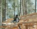6 Strategies for Reducing Carbon Footprint in Construction