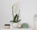 4 Simple Steps to Make Your Home Look Brand New After Renovation